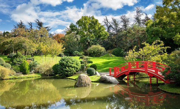 Les ustensiles pour une cuisine japonaise authentique