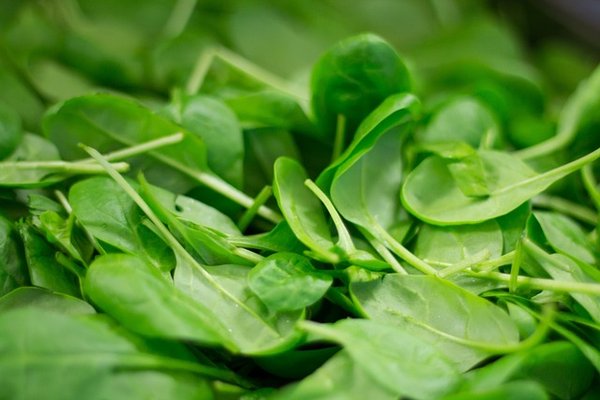 L'essentiel à savoir sur les tartines aux épinards et au Boursin
